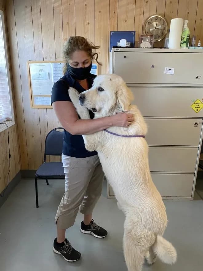 Laura hugging Henry, a large cream-colored dog standing on his hind legs, the day she brought him home from the shelter
