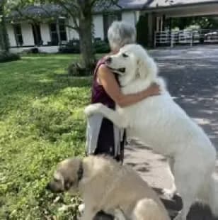 Laura hugging her large white dog while another dog sits nearby